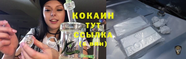 ешки Алексеевка