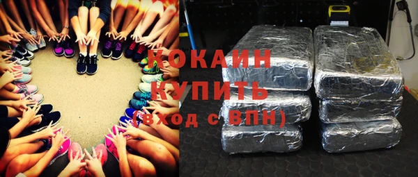 тгк Алзамай