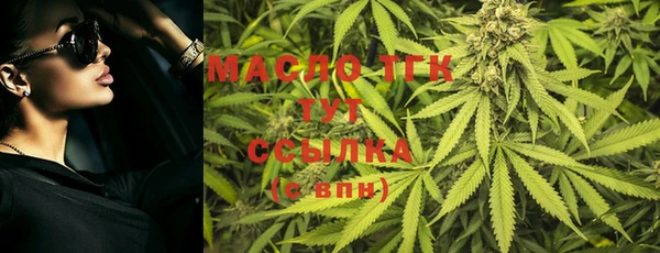 тгк Алзамай