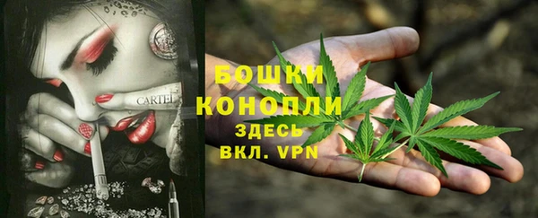 ALPHA PVP Алексин