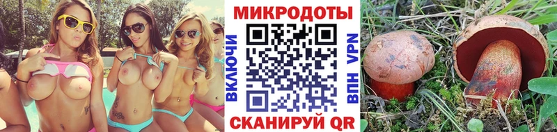 Галлюциногенные грибы Psilocybe Олонец